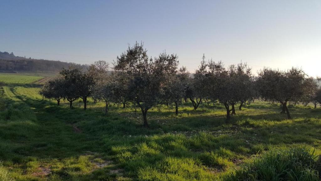 App Stancija Padovan 2 Apartmán Porec